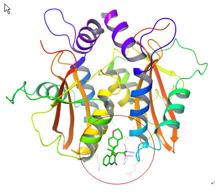 HIVIN Alosteric  Binding Site