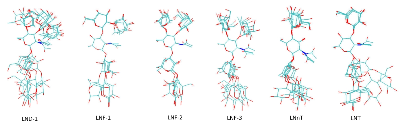 Conformations of Human Milk Sugars