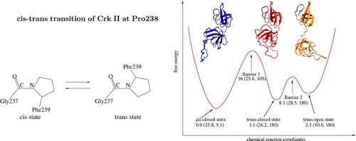 cis-trans transition of Crk II