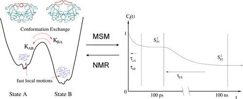 Two State Model of NMR Relaxation